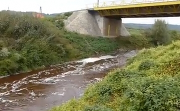 Pusztulnak a halak a szennyezett Kaposban