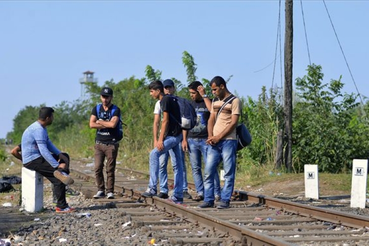 Több mint 155 ezer menedékjog iránti kérelmet regisztráltak