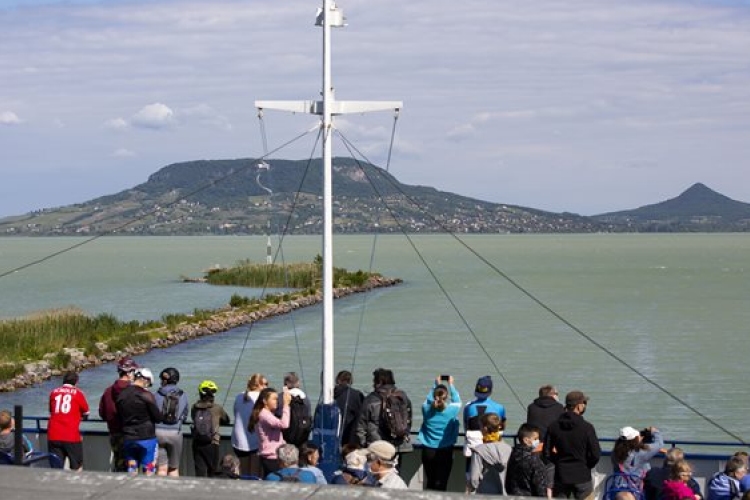 Kihaltnak hitt őshonos halfajt találtak a Balatonban